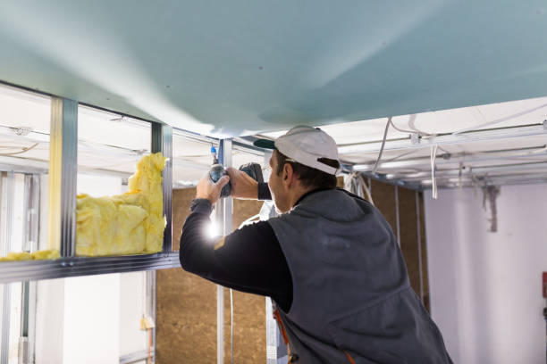 Best Cellulose Insulation in Venersborg, WA