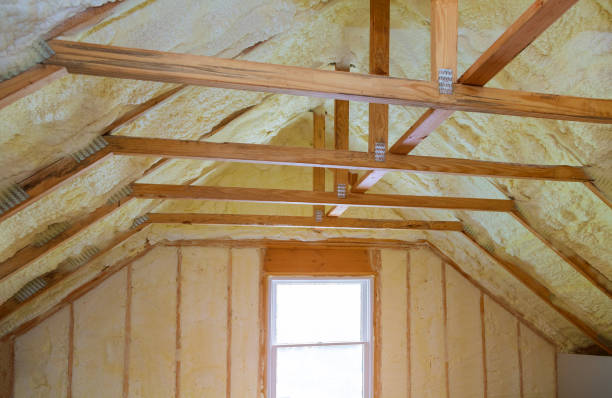 Best Cellulose Insulation in Venersborg, WA