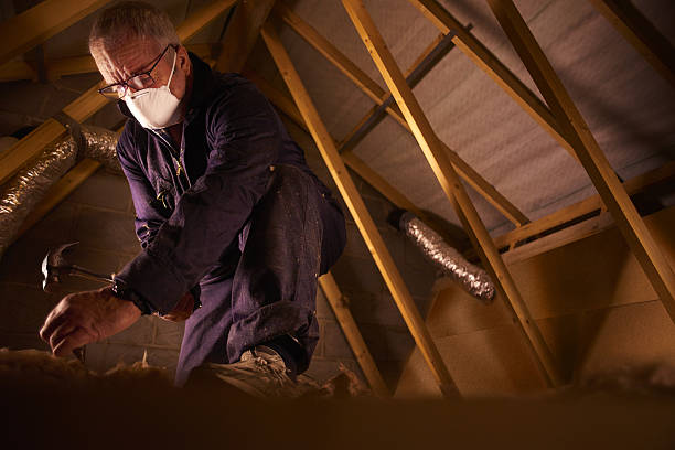 Types of Insulation We Offer in Venersborg, WA
