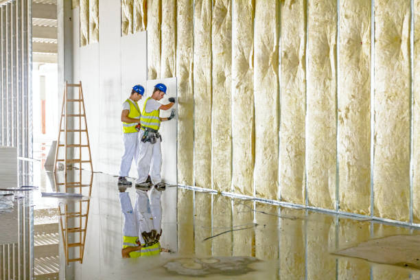 Best Residential Insulation in Venersborg, WA
